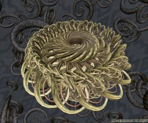 spinobifidae-023