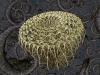 spinobifidae-044