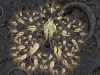spinobifidae-047