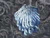 spinobifidae-049