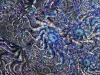 spinobifidae-059