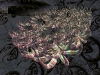 spinobifidae-060