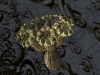spinobifidae-062