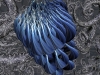 spinobifidae-007