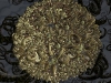 spinobifidae-016