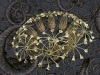 spinobifidae-021