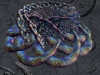 spinobifidae-024