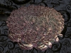 spinobifidae-025