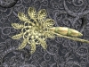 spinobifidae-027