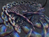 spinobifidae-028