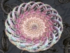 spinobifidae-033