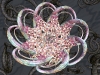 spinobifidae-039