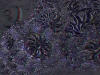 spinobifidae-043