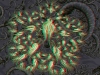 spinobifidae-047