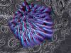 spinobifidae-048