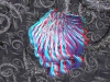spinobifidae-049