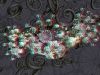 spinobifidae-006