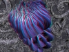 spinobifidae-007