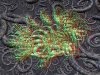 spinobifidae-008