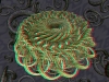 spinobifidae-023