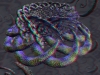 spinobifidae-024