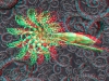spinobifidae-027