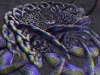 spinobifidae-028
