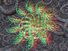 spinobifidae-034