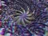 spinobifidae-035