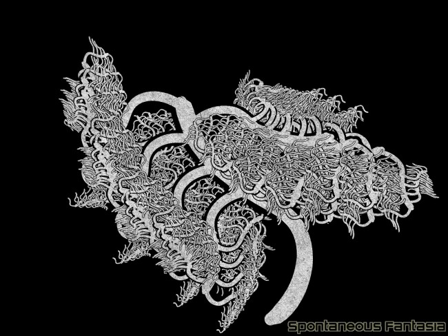 Branching Fractal Sketches