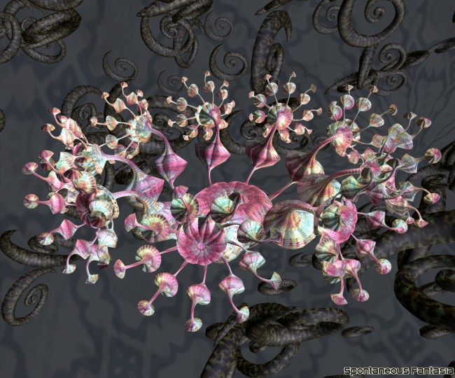 3D Spinobifidae Image Gallery